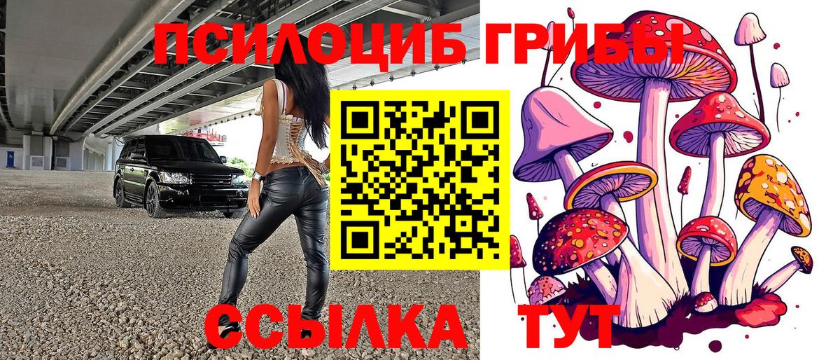 Псилоцибиновые грибы мицелий  Вход с VPN  Галлюциногенные грибы ЛСД  Назрань 